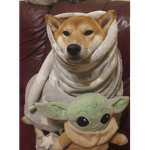 DOGE + BABY YODA