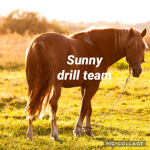 Thunder Gallop Academy