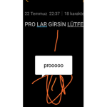 PRO KİNG