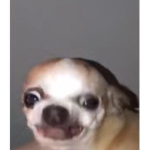 aarkto