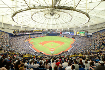 Tropicana Field: Home of The Tampa Bay Rays