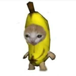 바나나 킬수