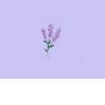 Lavender Group <3