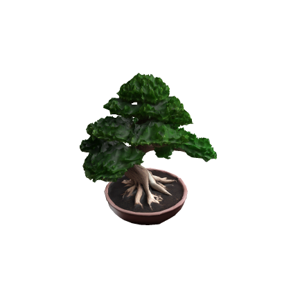 Bonsai Tree