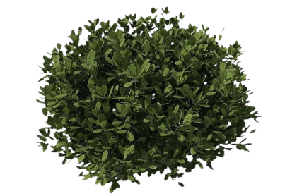 Square Decal