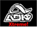 The ADIO Skate Team