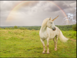 Abby’s unicorns group