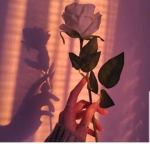 >Velvet cherries<
