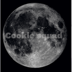 Cookiefamyt