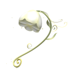 Blooming Fantasy Flower