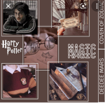 ~Harry Potter Rocks~