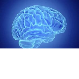 MMM (My mind museum)
