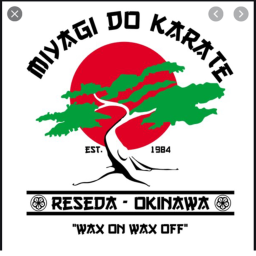Karate kid dojo