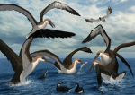 . PELAGORNIS FLOCK .