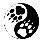 Doge yinyan