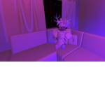 creator studio club