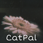 CatPal