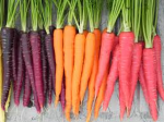 CaRrOtS RuLe