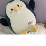 Penguin and cat club