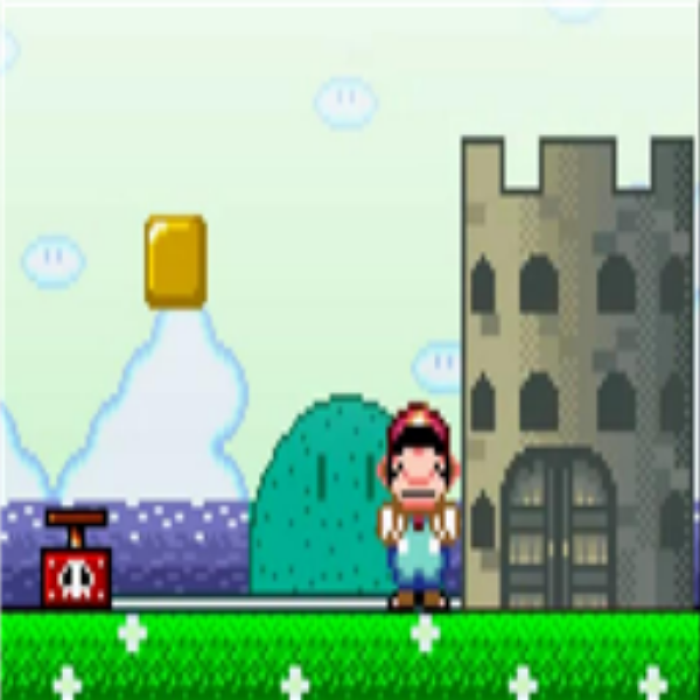 marios WTF Roblox decal
