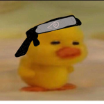 Duck Fan Club N.1