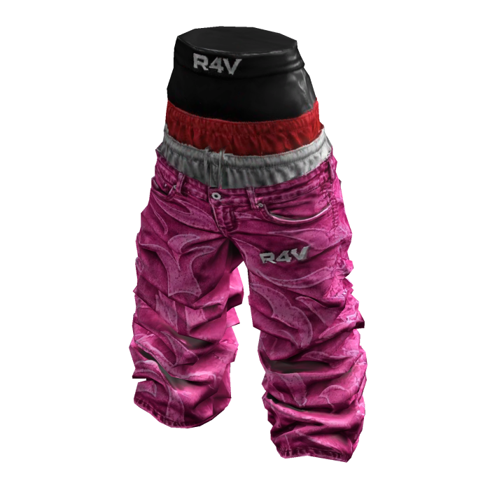 R4V 3bajo 03