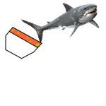 Soup Shark