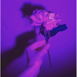 ever wanted