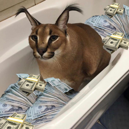 Donate me [FLOPPA!!!]