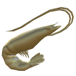 Golden Shrimp