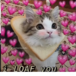 $Lovė$Jāy