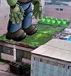 cabbage shenanigans
