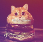 RοbIօx