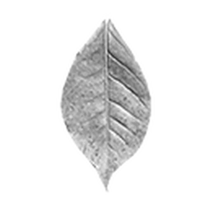 Leak asset thumbnail