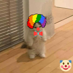 The_ clowns300