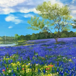 a flower's vainglory