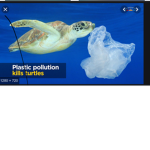 Save the turtles and the trees! :D