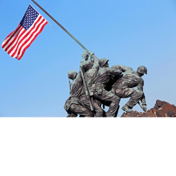 Unites States Military Forces
