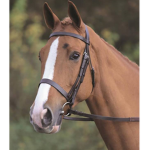 UltraBlue riding school