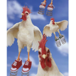 Join if u like chickens and roosters
