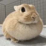 lastiele Group Thumbnail
