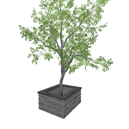 City Tree