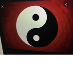 Yin And Yang Fan Club