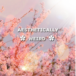 .~Aesthetically Weird~.