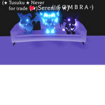 Aesthetic Dragon Group