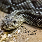 THE SNEKS!!!!