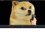 Memes And More memes and also more memes