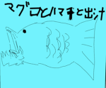 猫パンダ『NEKOPANDA』