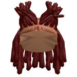 Roblox entity thumbnail