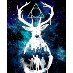 HarryPotterClothes